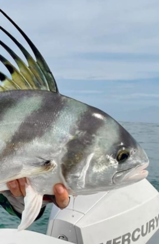 Fotos da pesca esportiva em Boca Chica no Panam